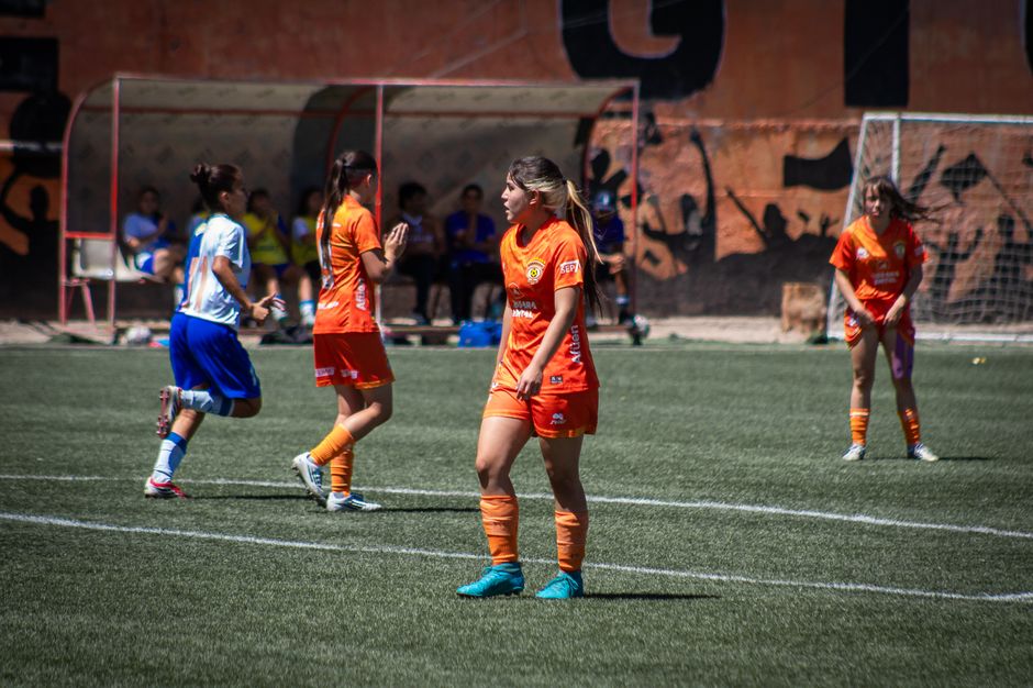 内链优化提升收录率方法